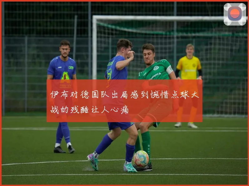 伊布对德国队出局感到惋惜点球大战的残酷让人心痛