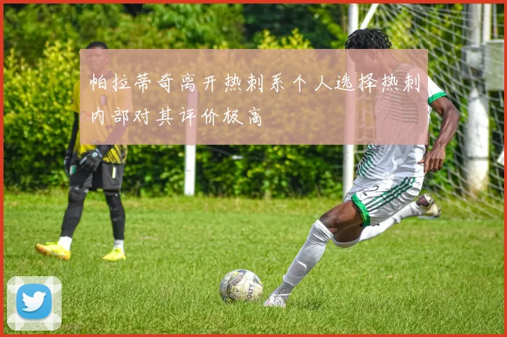 帕拉蒂奇离开热刺系个人选择热刺内部对其评价极高
